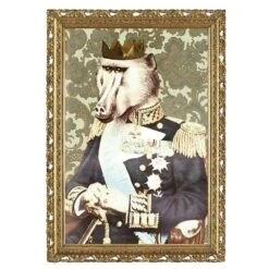 Kungen Af Djungeln Poster