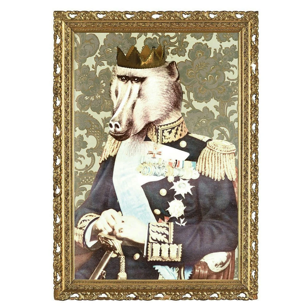 Kungen Af Djungeln Poster