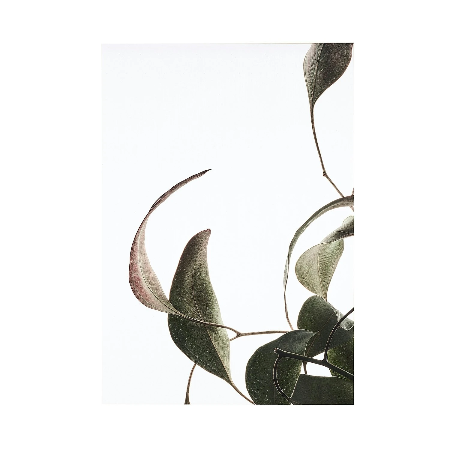 Floating Leaves 08 Poster A3